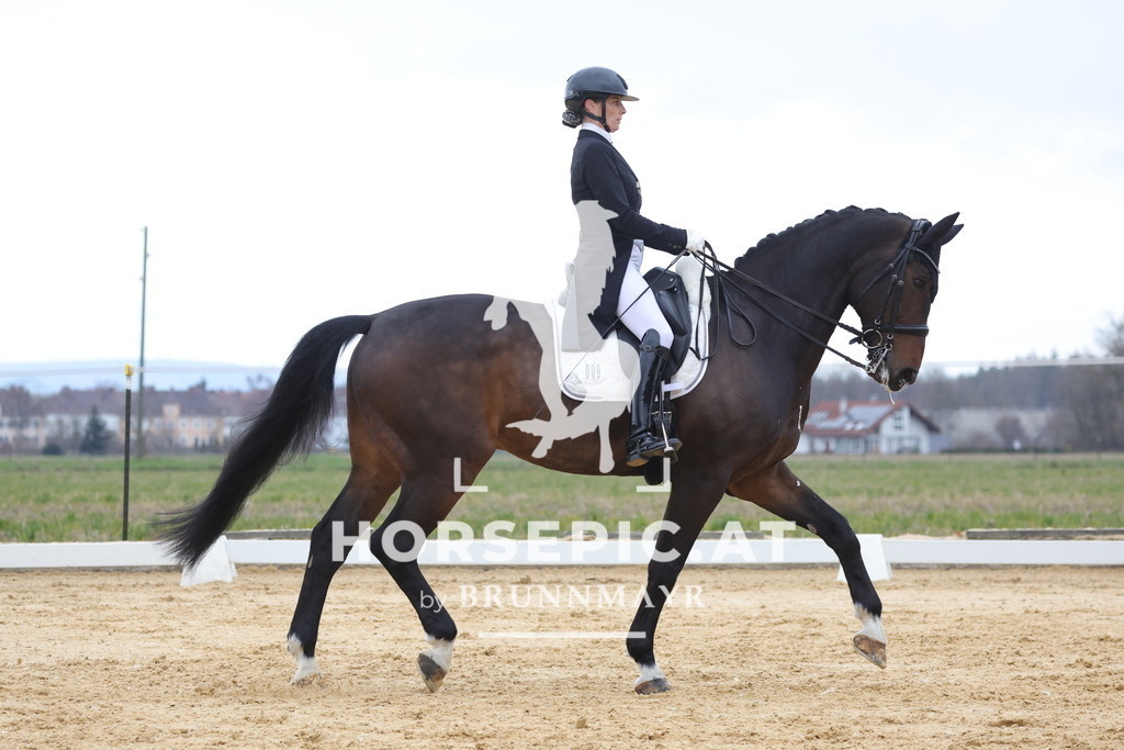0P6A5671 | Willkommen bei Brunnmayr - Design & Fotografie – Ihrem Spezialisten für Reitturniere und Pferdeveranstaltungen in Oberösterreich, Salzburg und Bayern! Seit über 17 Jahren sind wir leidenschaftlich dabei.