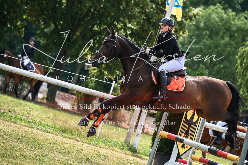 DSC_8292 | Pferde- und Turnierfotografie in Westsachsen. Pferdeportraits, Auftragszeichnungen und intuitive Kunst.