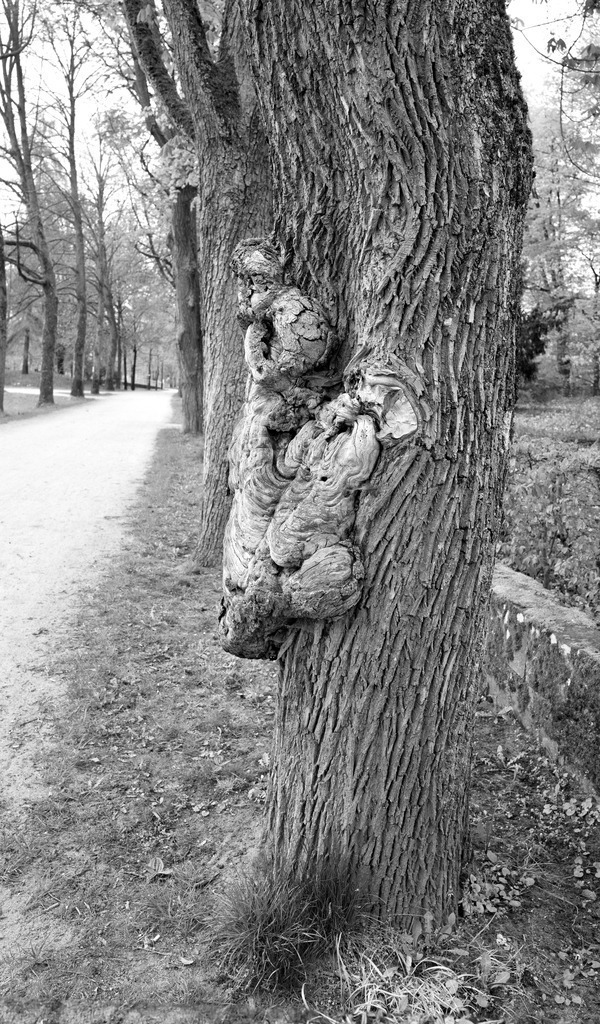 L1003571 Kopie | Buchen Sie ein Fotoshooting in Würzburg oder Umgebung bequem online in meinen Webshop.