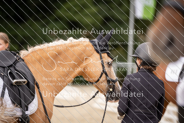 SD_OED_07554 | saradresslerfotografie - Realisiert mit Pictrs.com