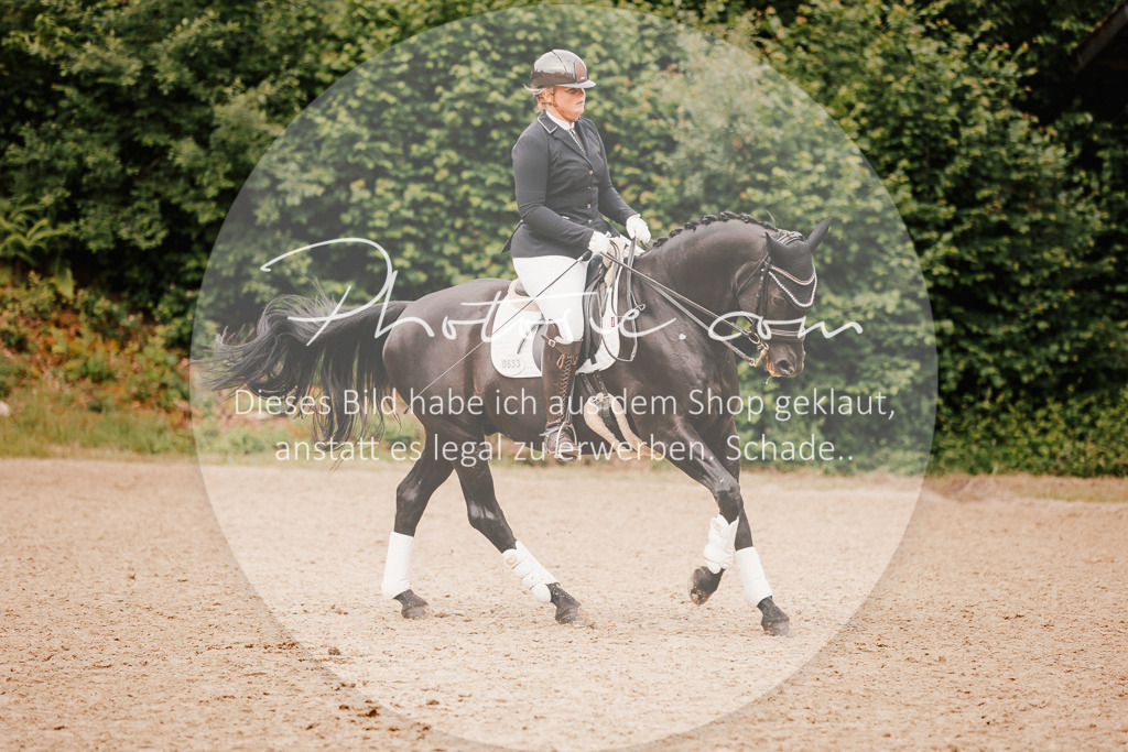 3I6A7903 | Stimmungsvolle Portraits und Reitsportfotografie im Ruhrgebiet und im Münsterland.

Pferdefotografie, Hundefotografie, Tierfotografie, Reportagen, Portraits von Tier und Mensch, Turnierfotografie in Bochum, Recklinghausen, Marl, Haltern am See, Dülmen.. - Realisiert mit Pictrs.com