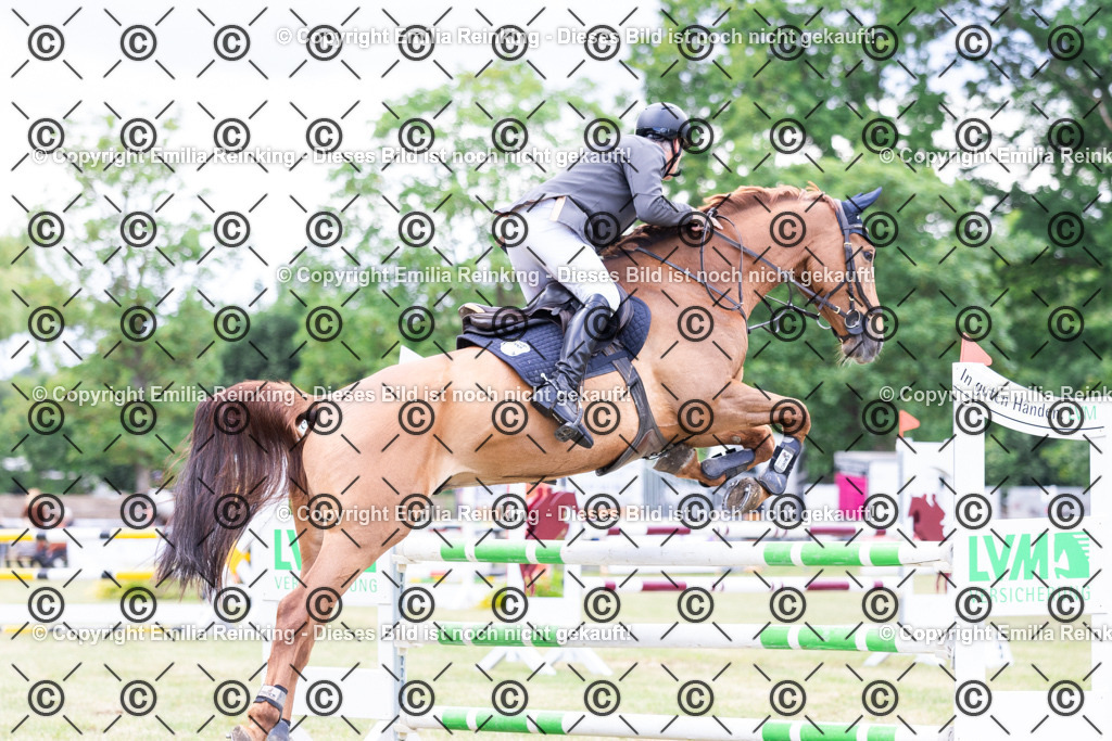 CL5A6250 | Emilia Reinking Fotografie - Realisiert mit Pictrs.com