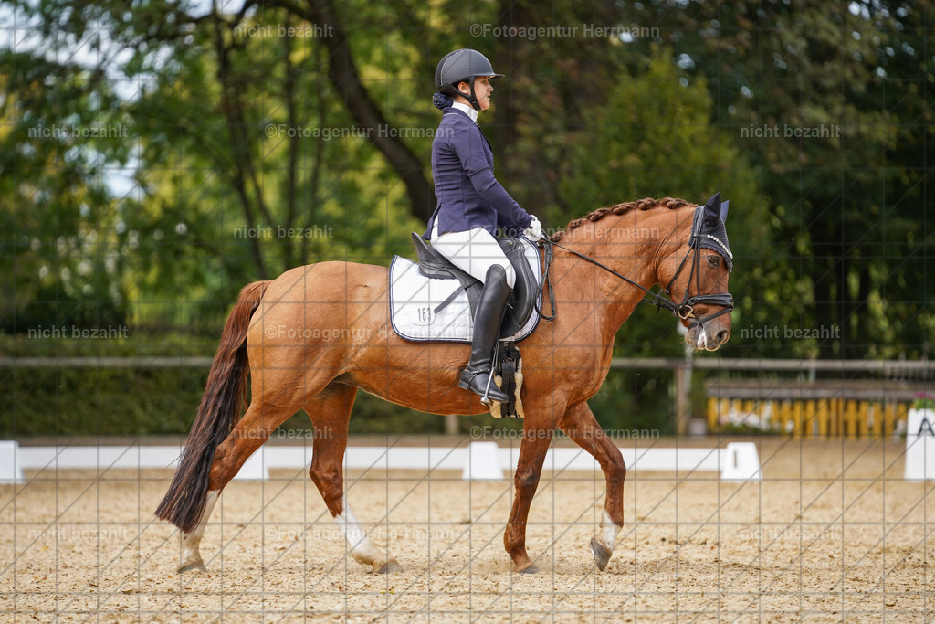 20231007-SN_00637 | Diessen am Ammersee, 2023, Dressur- und Springturnier, Reitsport, Turnierfotografie, Pferdebilder, Reitbilder, Turnierfotografen Bayern, Fotoagentur Herrmann