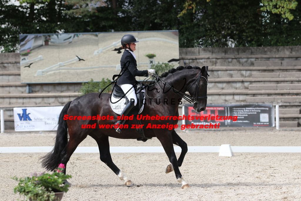 IMG_6935 | lmwpictures - Realisiert mit Pictrs.com