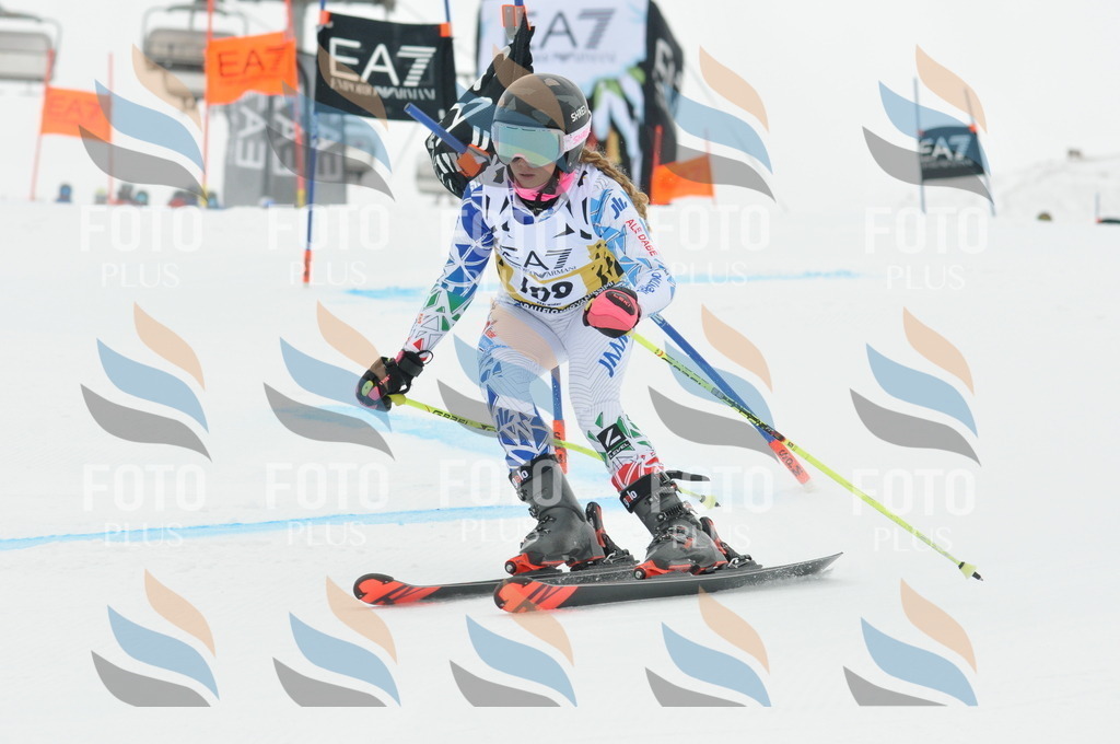 DSC_8121 | holidayphoto