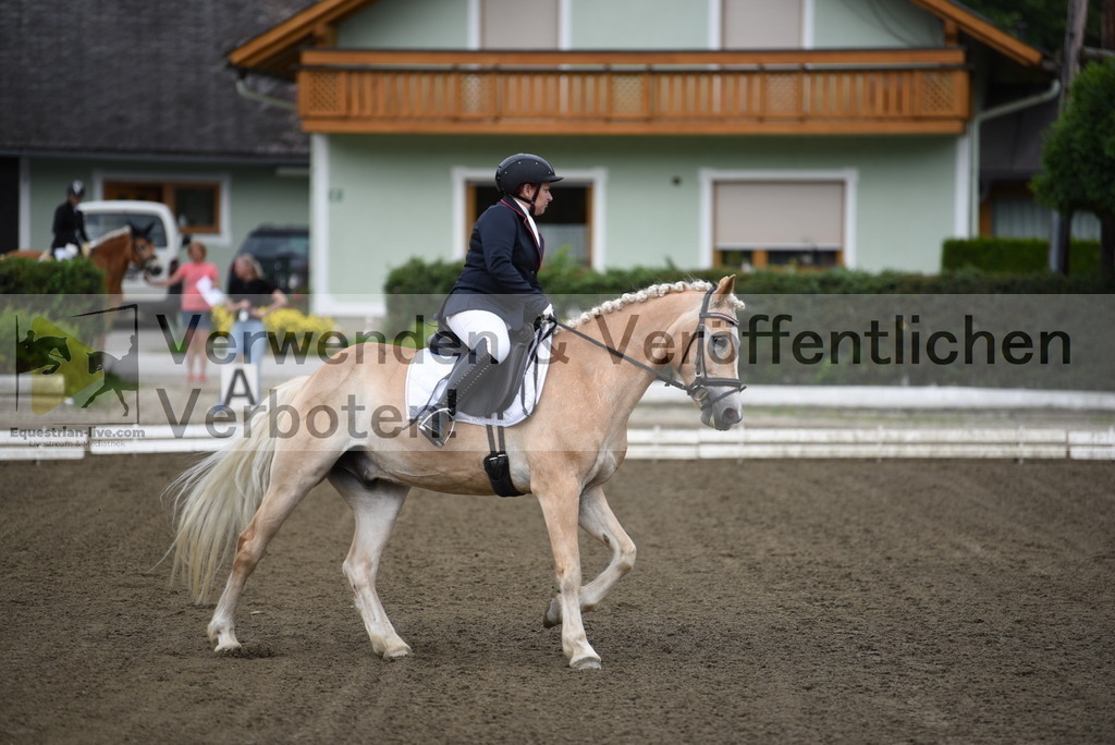 DSC_3689 | equestrian-live-com