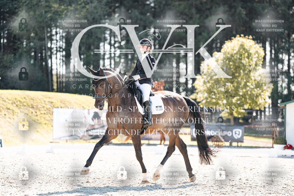 CK905955 | Turnierfotografie Pferdefotografie Trier Rheinland-Pfalz Pferdesport Reitsport Tierfotografie Sportfotografie Pferdevideo Pferdevideografie Equestrianvideography equestrianphotography  - Realisiert mit Pictrs.com