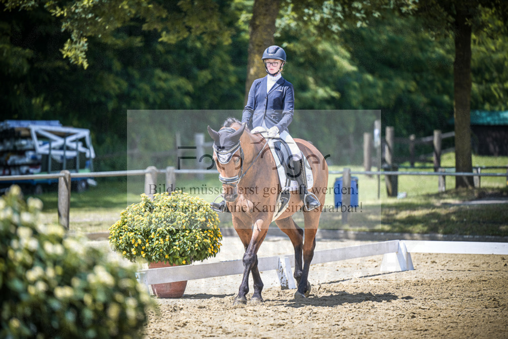 DOS_5363 | Entdecke hochwertige Reitturnierfotos von Foto Oger. Professionell, emotional und authentisch – jetzt Lieblingsmomente im Shop bestellen.Deutschlandweite Turnierfotografie. - Realisiert mit Pictrs.com