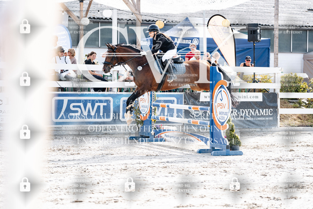 CK905651 | Turnierfotografie Pferdefotografie Trier Rheinland-Pfalz Pferdesport Reitsport Tierfotografie Sportfotografie Pferdevideo Pferdevideografie Equestrianvideography equestrianphotography  - Realisiert mit Pictrs.com