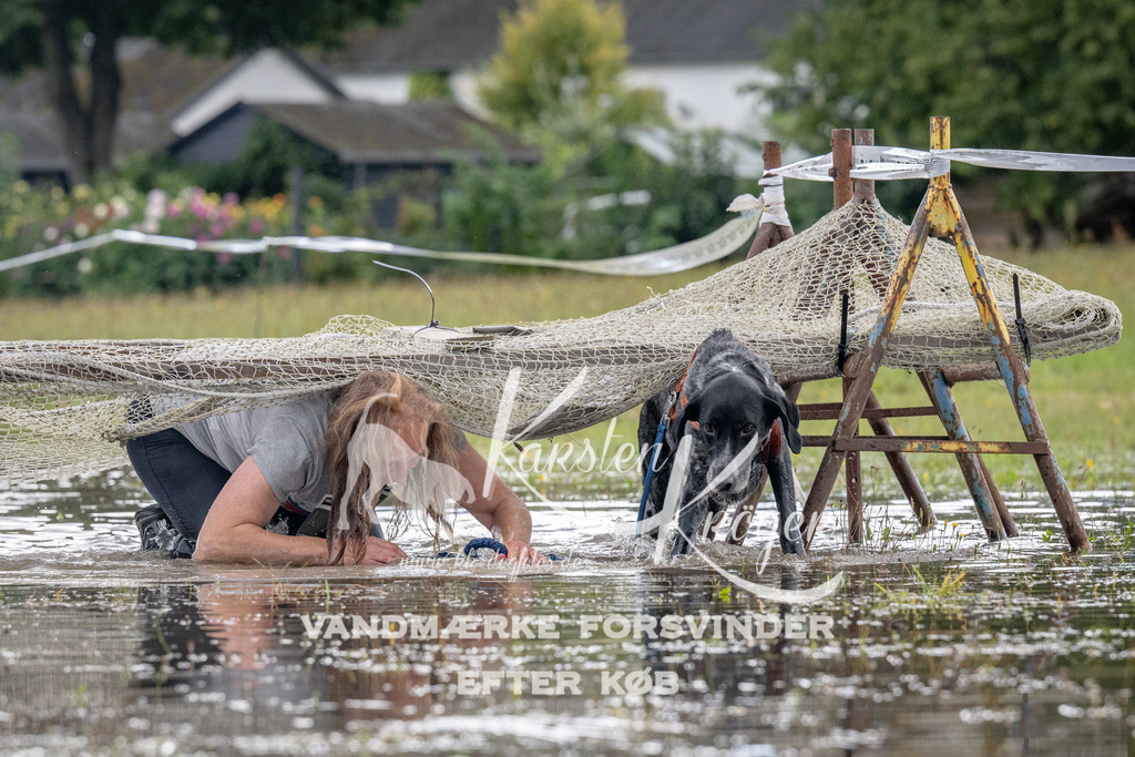 1440_ZZ90657 | kk-dogfotos