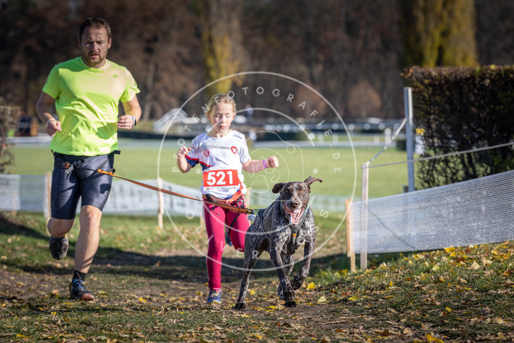 CaniXpix_DV3A8117 | Hundefotografie, Tierfotograf, Pfotenfotografie, Fotoshooting Hund, Hunde Portrait, Hundesport, Hundeportraits, Heideshooting, Hunde, Sportfotograf, Hundefotograf, Turnierhundsport, THS,  - Realisiert mit Pictrs.com