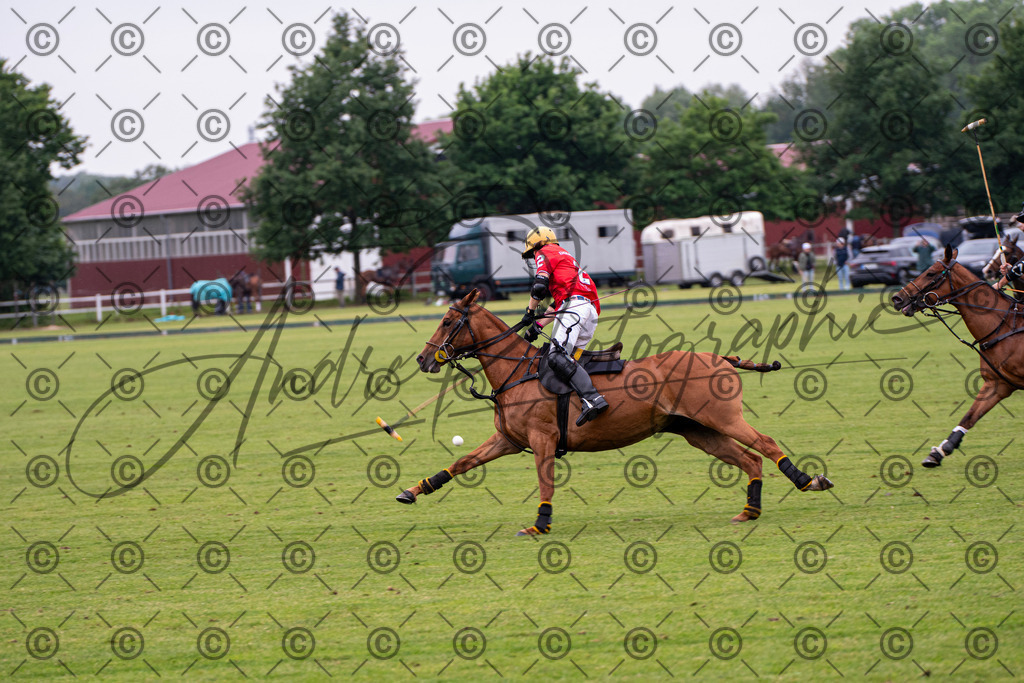 POL_2910 | andre_photographic