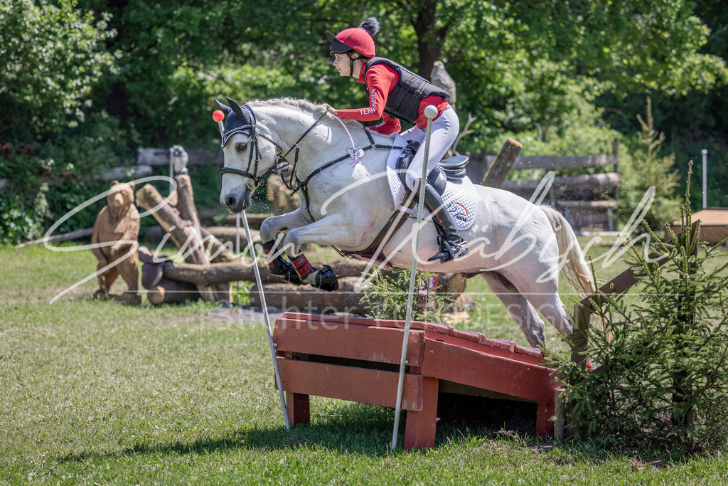 20260523-_3LI8543 | Tierfotografie Pferde, Hunde, Katzen, Haustiere.
Turnierfotografie Reitturniere, Reiten, Springreiten, Dressur in Hanau, dem Main-Kinzig-Kreis und dem Rhein-Main- Gebiet um Frankfurt