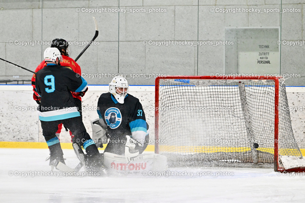 Lendhafen Seelöwen vs. Spartans Althofen | Tor Spartans Althofen, #37 Juch Lukas Lendhafen Seelöwen, #9 Hebar Andrej Lendhafen Seelöwen, Lendhafen Seelöwen vs. Spartans Althofen, Lendhafen Seelöwen vs. Spartans Althofen am 14.02.2025 in Ferlach (HTC Eishalle Ferlach), Austria, (Photo by Bernd Stefan)