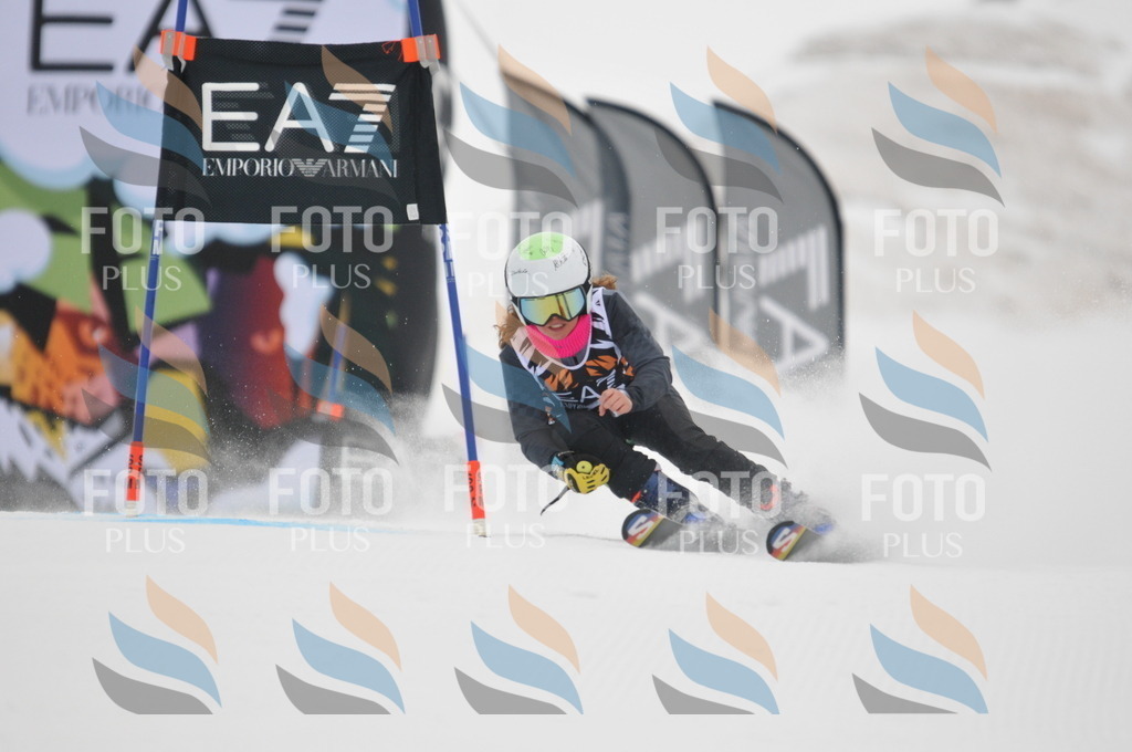 DSC_7442 | holidayphoto