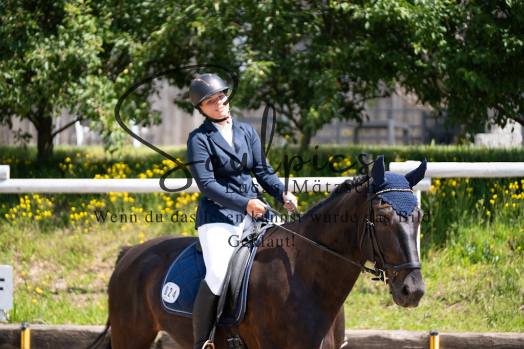 A7V08116 | Pferdefotograf