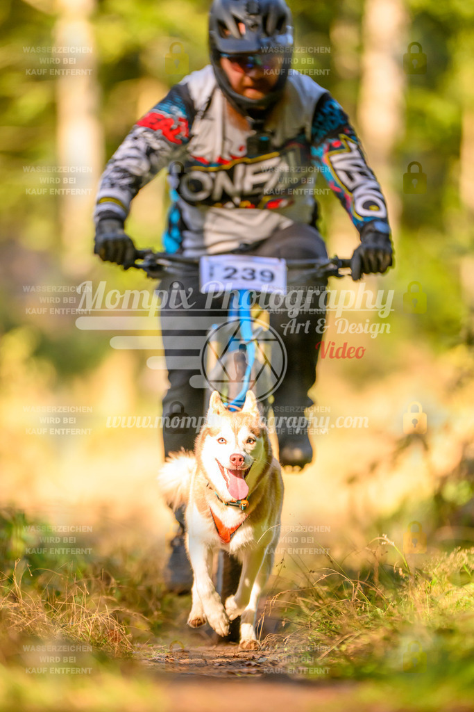 MompixPhotography_Yens2025_B3-59 | PayLife