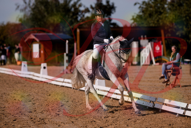 2026_10_03_Siefer-Hof_123144_Z81_30655206 | Professionelle Reitsport-, Turnier- und Eventfotografie von Robert Broda. Galerien mit ausgewählten und bearbeiteten Bildern direkt online ansehen und bestellen.