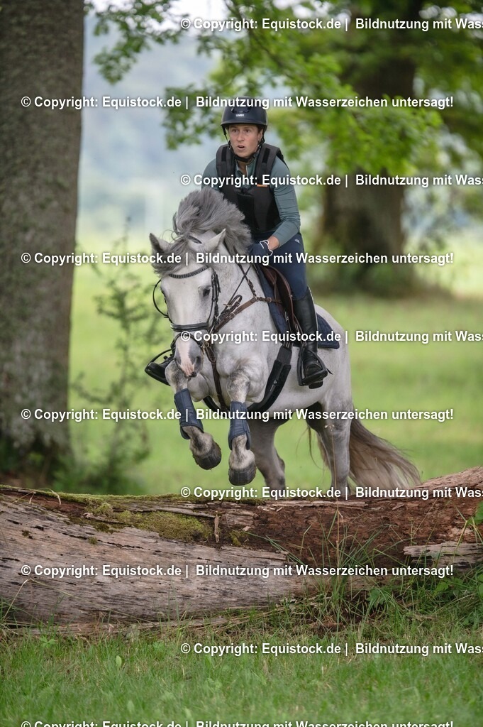 20250726_Vielseitigkeitslehrgang-Marbach_0537 | Foto: Thomas Hartig