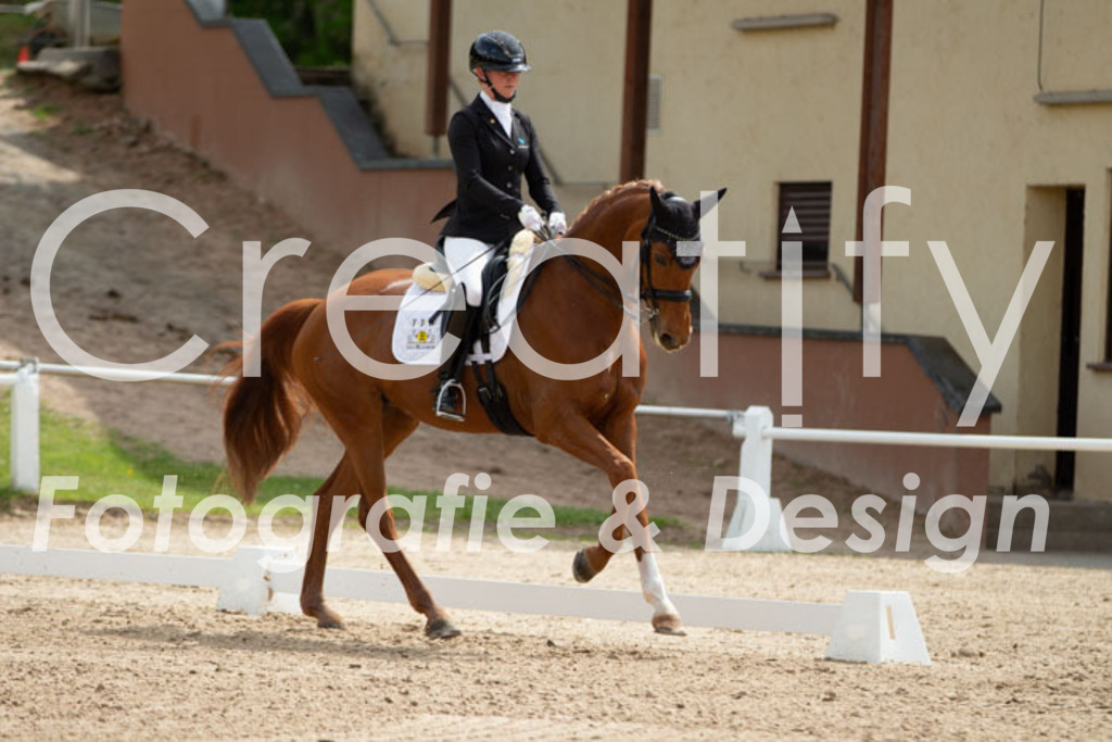 IMG_6849 | Creatify Fotografie