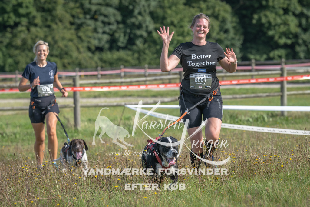 1044_ZZ91042 | kk-dogfotos