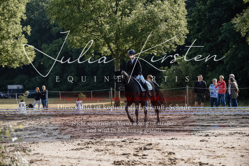 DSC_7830 | Pferde- und Turnierfotografie in Westsachsen. Pferdeportraits, Auftragszeichnungen und intuitive Kunst.