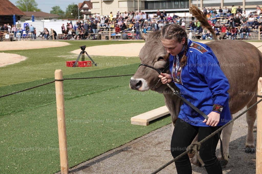 DSC03629 | Schwingen - Realisiert mit Pictrs.com