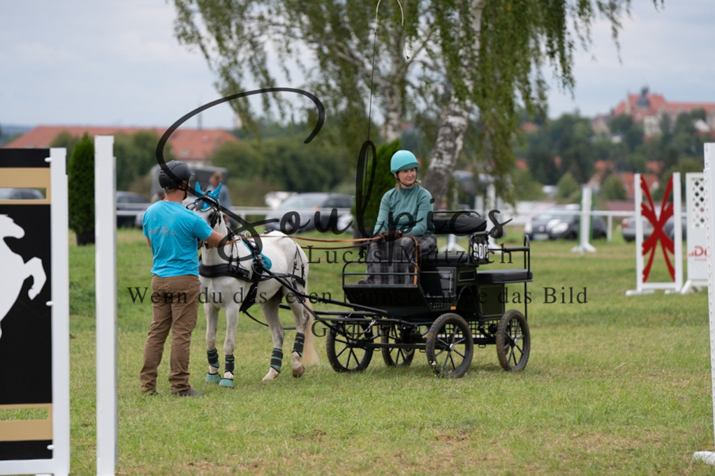A7V06175 | Turnier/Reitfotograf