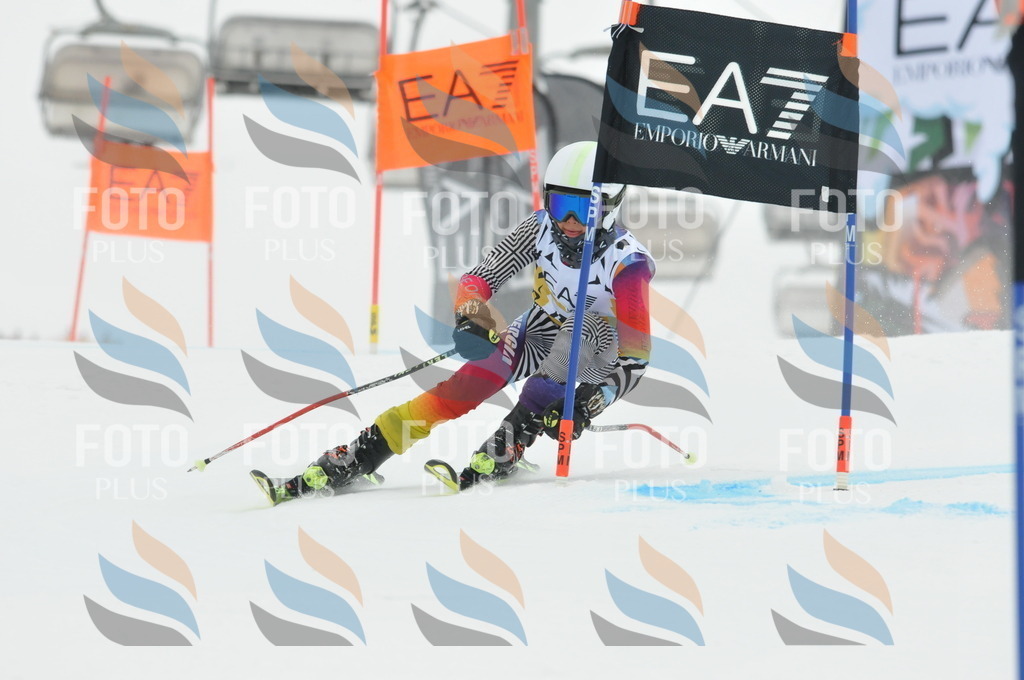 DSC_8479 | holidayphoto