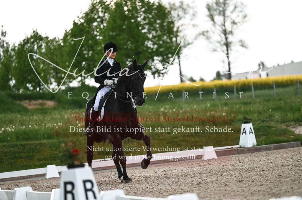 20230514_JK-Röhrsdorf-21-449 | Pferde- und Turnierfotografie in Westsachsen. Pferdeportraits, Auftragszeichnungen und intuitive Kunst.