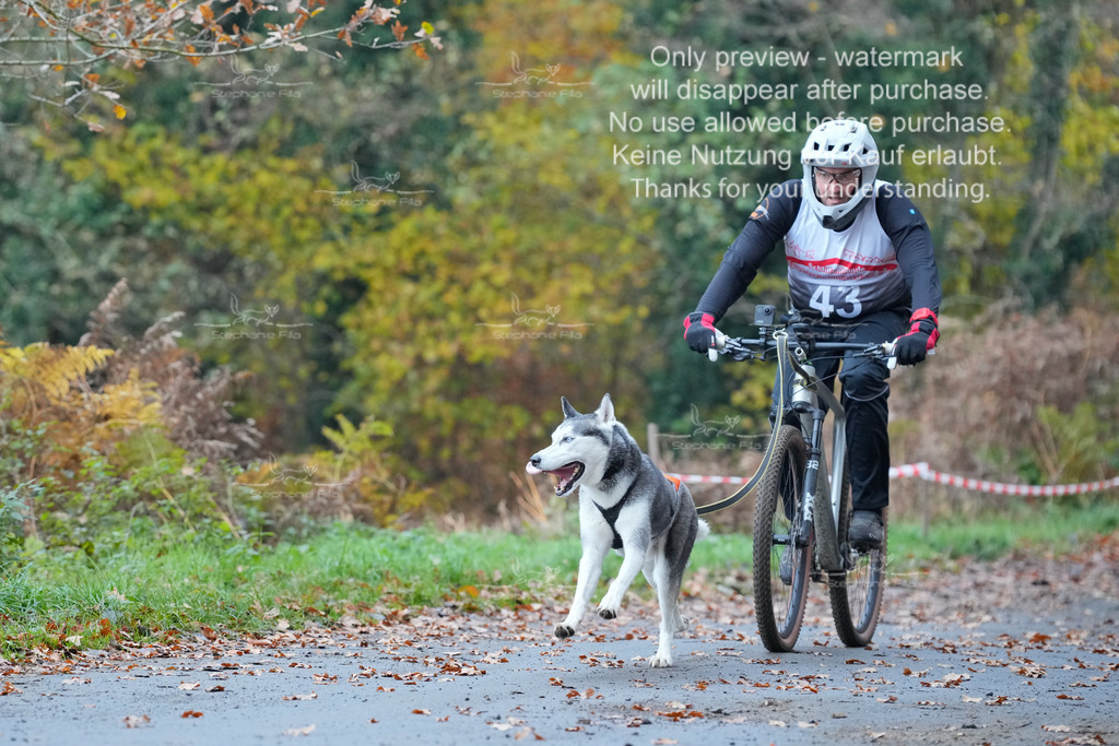 Bike_So-102 | stephaniefillaphotographie - Realisiert mit Pictrs.com