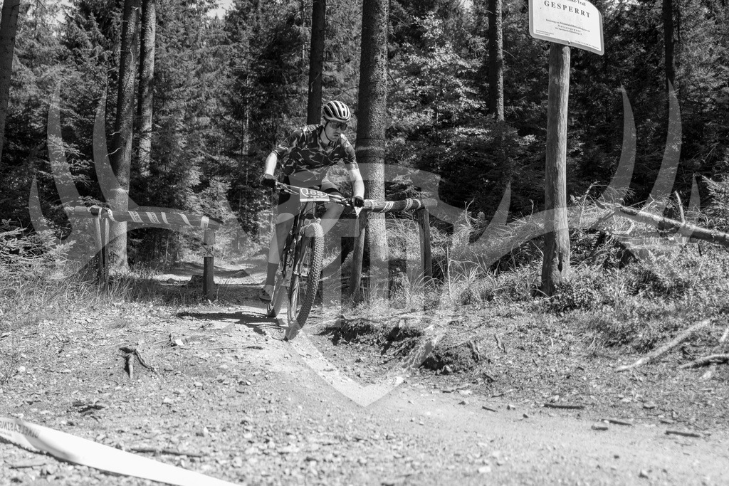 L1010721 | Fotogalerie der Treibjagd im Dunkelwald - Dein MTB Etappenrennen im Erzgebirge - Realisiert mit Pictrs.com