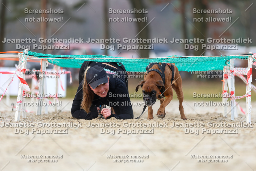 Dog Paparazzi - Strongdog North Mrz26-3806 | Dog Paparazzi Jeanette Grottendiek Fotografie & Videografie - Realisiert mit Pictrs.com