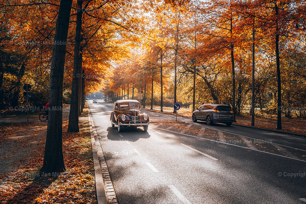 _DSC8146 | Leipzig Wandbilder Drucke Prints Leinwand Stadtmotive Leipzig Fotosdruck Kunstdrucke Bilder Leipzig Stadtansichten Acrylglasbilder Leipzig Wanddeko Fine Art Prints Wandbilder Büro Leipzig Bilder Praxis Zuhause Bilderdruck Poster Posterlounge Kunstdrucke - Realisiert mit Pictrs.com