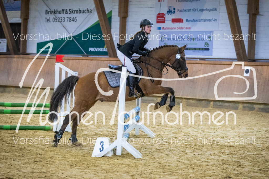 Sth-WBO25-Spr65cm-064 | MomenTaufnahmen Pferdesportfotos
