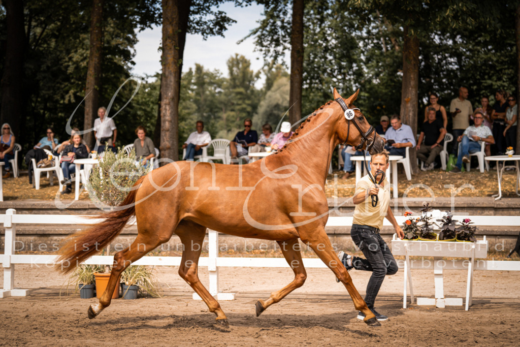 5.Fr00036 | Leoni Ertmer Photography - Realisiert mit Pictrs.com