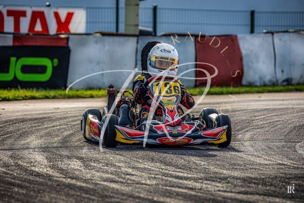 E68A5C31-BFFE-435C-8507-93C678D4C09C | traudl_s_fotos