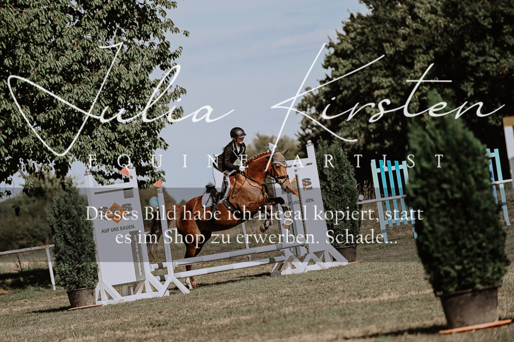 DSC_9348 | Pferde- und Turnierfotografie in Westsachsen. Pferdeportraits, Auftragszeichnungen und intuitive Kunst.