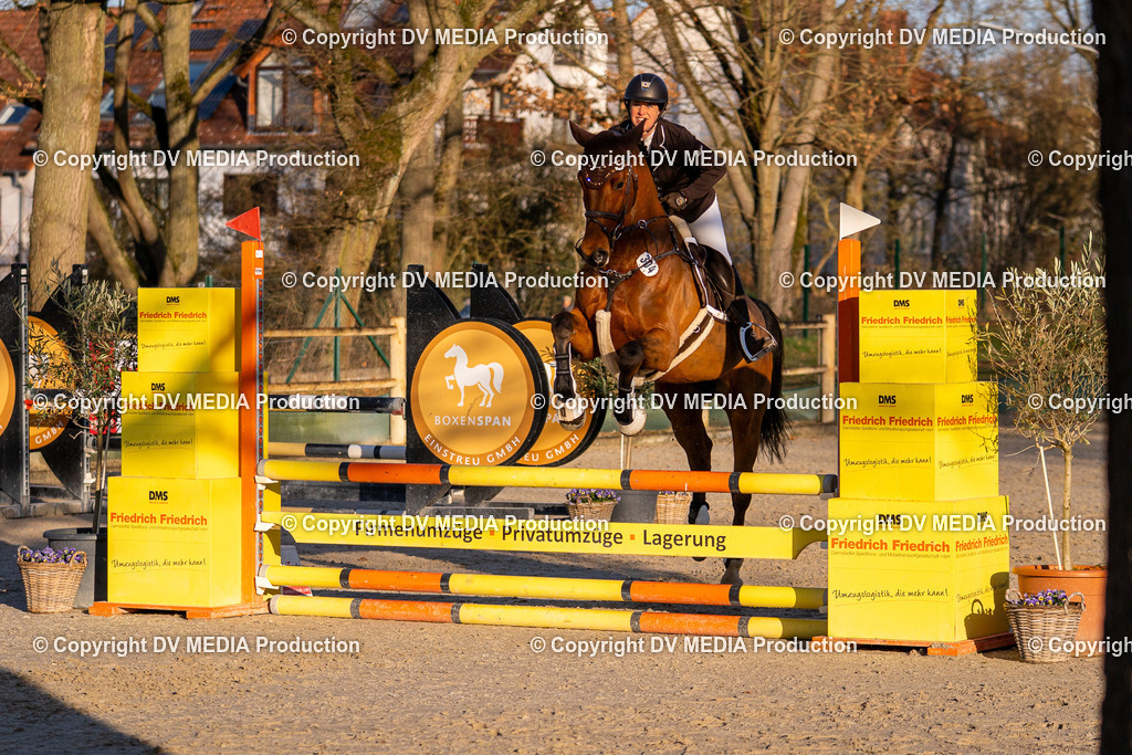 DSC-202 | dv-media-shop - Realisiert mit Pictrs.com