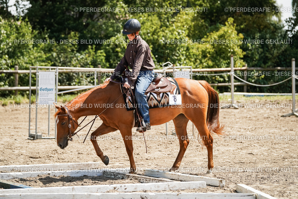 DSC07539 | Pferdegrafie