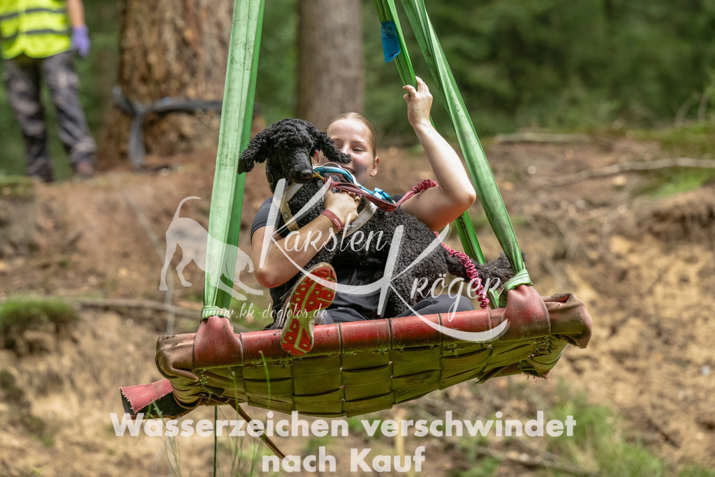 1300_ZZ91928-Bearbeitet | kk-dogfotos