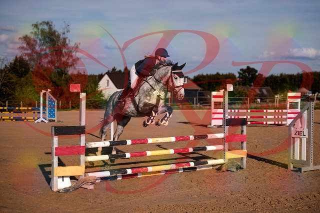 2026_10_03_Siefer-Hof_171341_Z81_10618200 | Professionelle Reitsport-, Turnier- und Eventfotografie von Robert Broda. Galerien mit ausgewählten und bearbeiteten Bildern direkt online ansehen und bestellen.