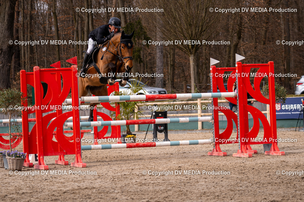 Kranichstein Tag 2-2089 | dv-media-shop - Realisiert mit Pictrs.com