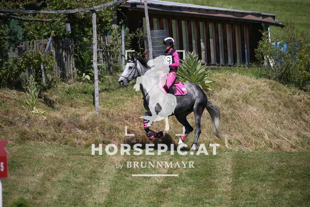 DL2Q1481 | Willkommen bei Brunnmayr - Design & Fotografie – Ihrem Spezialisten für Reitturniere und Pferdeveranstaltungen in Oberösterreich, Salzburg und Bayern! Seit über 17 Jahren sind wir leidenschaftlich dabei.