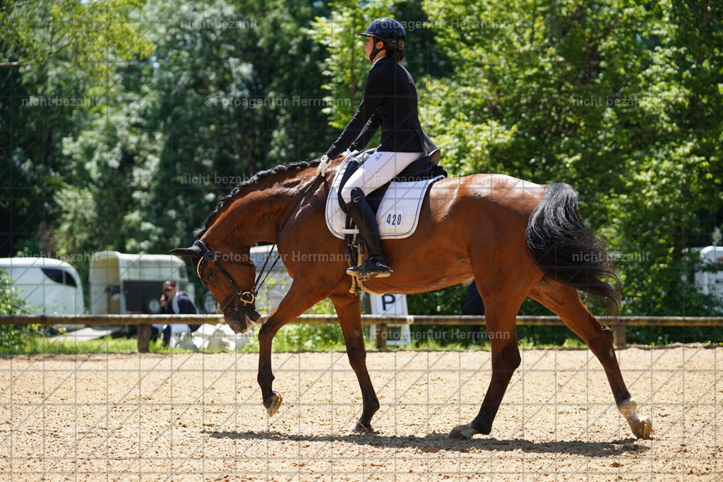 20240705-FAH03970 | Turnierbilder von Grafing, Reitsportbilder, Turnierfotos, Turnierfotografen Bayern, Pferdefotograf, Fotoagentur Herrmann