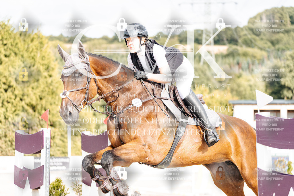 CK903030 | Turnierfotografie Pferdefotografie Trier Rheinland-Pfalz Pferdesport Reitsport Tierfotografie Sportfotografie Pferdevideo Pferdevideografie Equestrianvideography equestrianphotography  - Realisiert mit Pictrs.com