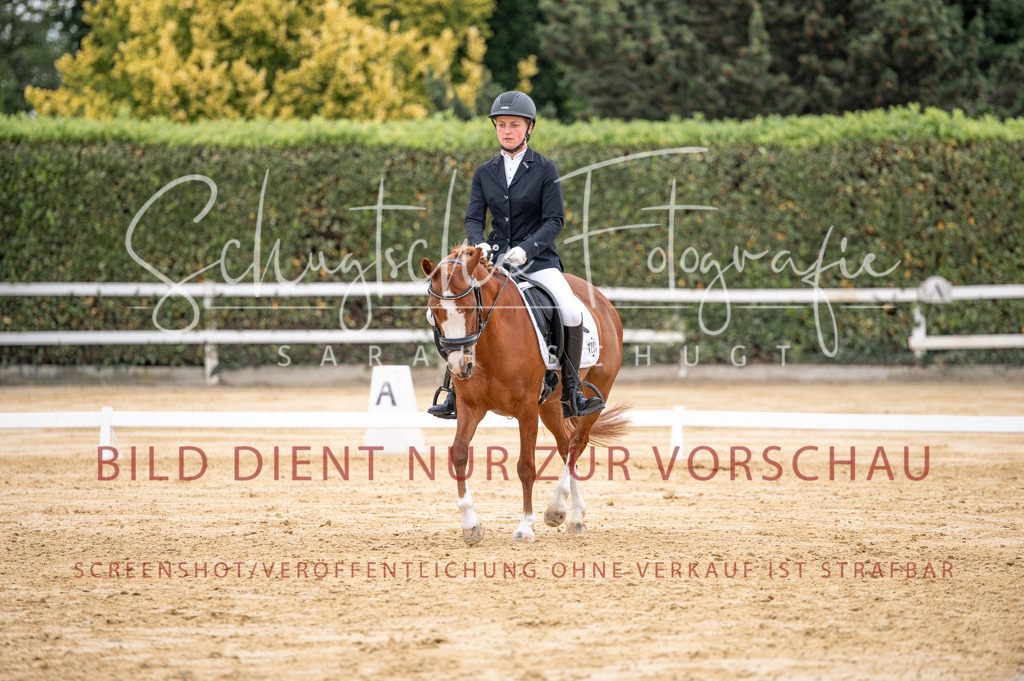 Schugtsche-Aluta25-40.DressurprfA_-389 | Schugtsche Fotografie - Realisiert mit Pictrs.com