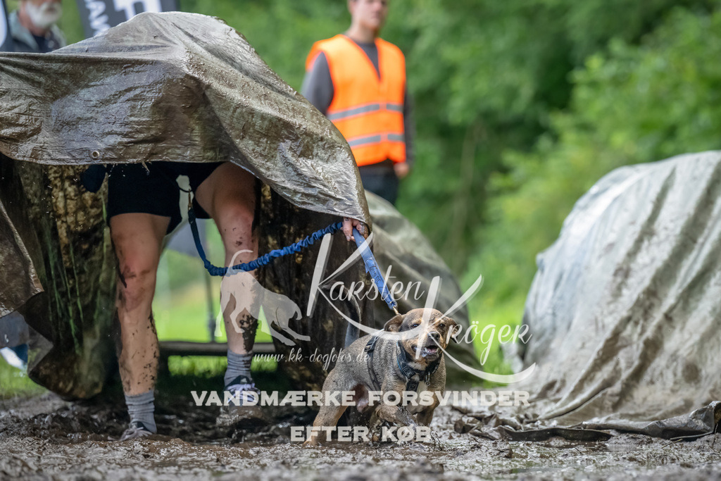 1152_ZZ94660-Bearbeitet | kk-dogfotos