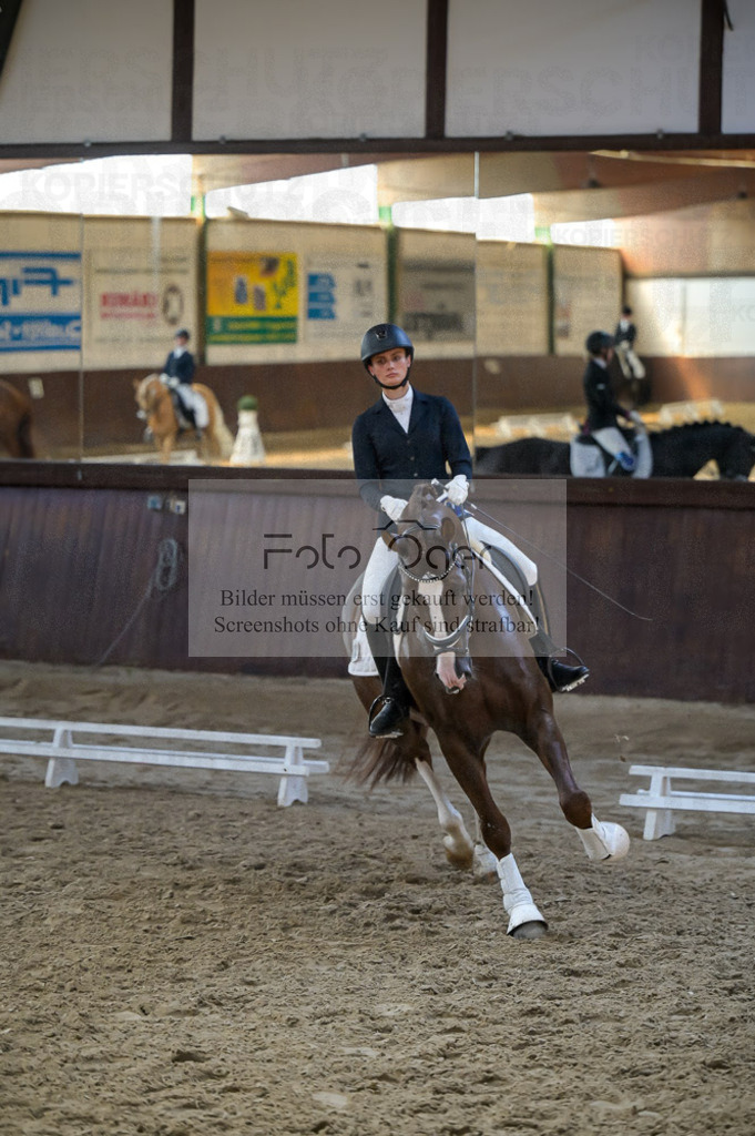 Reitturnier Voxtrup | Entdecke hochwertige Reitturnierfotos von Foto Oger. Professionell, emotional und authentisch – jetzt Lieblingsmomente im Shop bestellen.Deutschlandweite Turnierfotografie. - Realisiert mit Pictrs.com