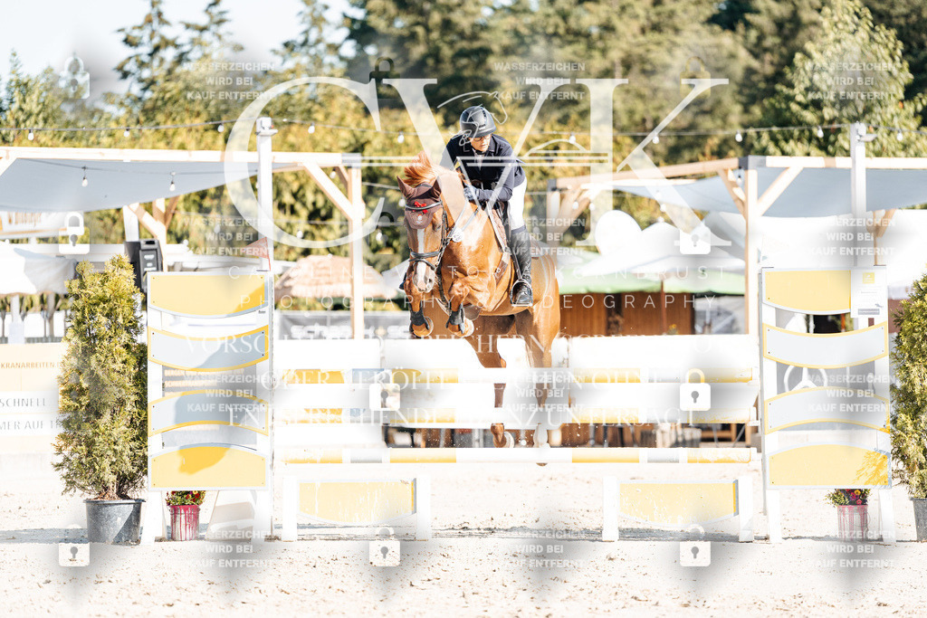 CK902003 | Turnierfotografie Pferdefotografie Trier Rheinland-Pfalz Pferdesport Reitsport Tierfotografie Sportfotografie Pferdevideo Pferdevideografie Equestrianvideography equestrianphotography  - Realisiert mit Pictrs.com